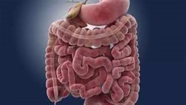 خبير بريطاني: فيتامين د قد يساعد في تقليل خطر الإصابة بسرطان الأمعاء