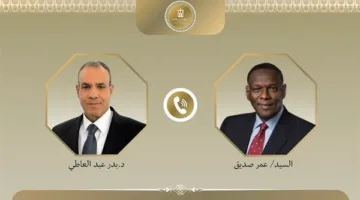 خلال اتصال هاتفي مع نظيره السوداني.. وزير الخارجية يعلن تضامن مصر مع السودان