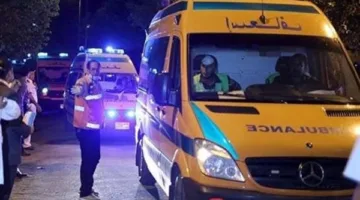 خلال زفة عروسين.. إصابة 6 شباب بينهم شقيقين في انقلاب سيارة بقنا | أسماء