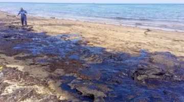 رئيس الفرع الإقليمي لشؤون البيئة يوجه بتكثيف الرقابة على الأنشطة النفطية البحرية في جنوب سيناء