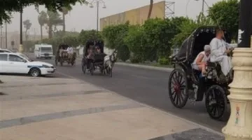 رغم العاصفة.. السائحون يتحدّون الطقس على ظهر “الحنطور” بكورنيش الأقصر