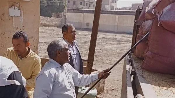 شون وصوامع المنيا تستقبل 150 ألف طن من القمح ضمن موسم توريد 2025 شون وصوامع المنيا تستقبل 150 ألف طن من القمح ضمن موسم توريد 2025