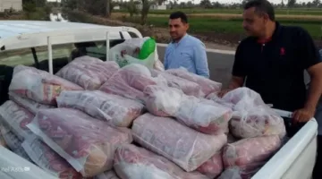 ضبط 25 كرتونة إندومي و75 كرتونة سناكس مجهولة المصدر خلال حملات تموينية ببني سويف