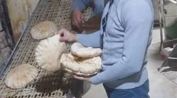 ضبط 5 أطنان مواد غذائية وتحرير 249 مخالفة تموينية خلال حملة رقابية بالدقهلية