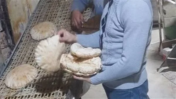 ضبط 5 أطنان مواد غذائية وتحرير 249 مخالفة تموينية خلال حملة رقابية بالدقهلية