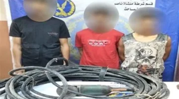 ضبط المتهمين بسرقة كابلات كهربائية خاصة بإنارة الطريق العام بمنشأة ناصر