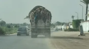 ضبط سيارة نقل مخلفات لتسببها في تناثر حمولتها على الطريق بالجيزة