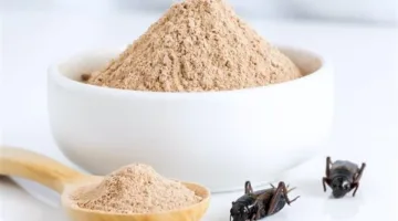 طرق طبيعية للتخلص من الحشرات المنزلية في الصيف دون مبيدات خطرة