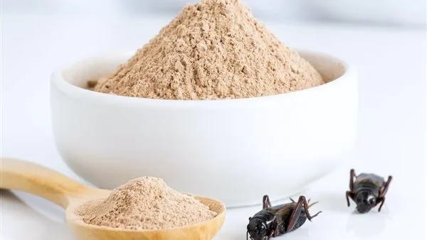 طرق طبيعية للتخلص من الحشرات المنزلية في الصيف دون مبيدات خطرة