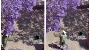 على هيئة قلب.. عامل نظافة سعودي ينسق أوراق الشجر المتساقطة ويثير إعجاب السوشيال ميديا