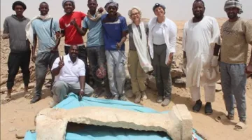 غطاء تابوت حجري.. كشف أثري جديد بمنطقة الأغاخان في أسوان| صور