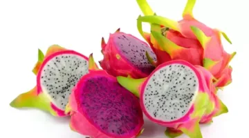 فاكهة التنين.. تعرف على الوجبة الخفيفة المثالية لتعزيز المناعة وتحسين الهضم