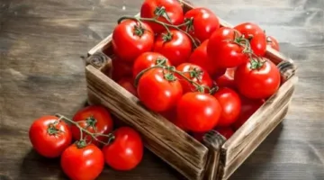 كيف تساعد الطماطم في علاج ارتفاع ضغط الدم؟.. دراسة توضح ذلك