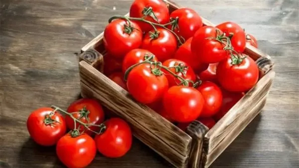 كيف تساعد الطماطم في علاج ارتفاع ضغط الدم؟.. دراسة توضح ذلك