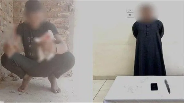 لزيادة نسب المشاهدات.. القبض على المتهم بالتعدي على هرة بسلاح أبيض وتصويرها فيديو بسوهاج