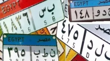 لوحات مرور مميزة في مصر بأسعار تصل إلى 500 ألف جنيه
