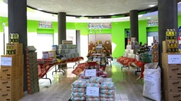 متحدث الحكومة: الدولة تتخذ إجراءات عديدة لضبط أسعار السلع.. وطبق البيض انخفض إلى 100 جنيه