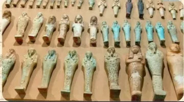 متحف آثار تل بسطا يعرض مجموعة من تماثيل الأوشابتى