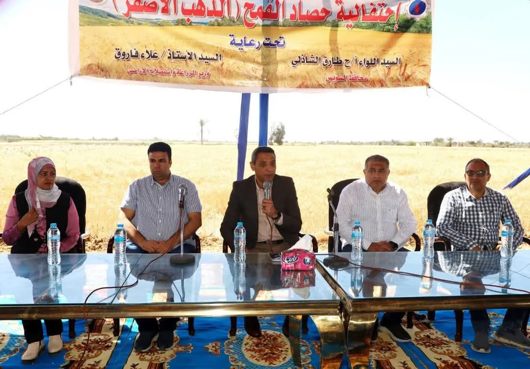 محافظ السويس يفتتح موسم حصاد القمح من قرية الشلوفة