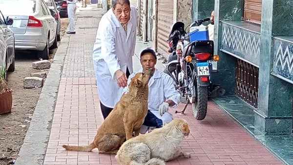 مديرية الطب البيطري بالأقصر تبدأ حملة لتحصين الكلاب الحرة ضد مرض السعار |صور مديرية الطب البيطري بالأقصر تبدأ حملة لتحصين الكلاب الحرة ضد مرض السعار |صور