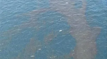 مصدر بالبيئة يكشف تفاصيل بقعة الزيت بشواطئ مدينة أبو رديس: ننتظر نتيجة تحليل العينة