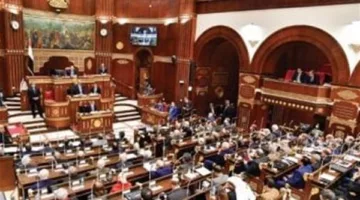 مقترح برلماني لعرض الوحدات السكنية غير المملوكة التابعة للهيئات والنقابات لتأجيرها للشباب بالحد الأدني لرواتبهم