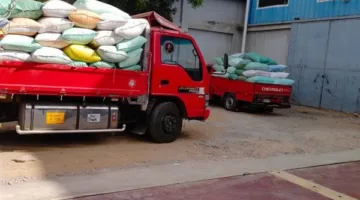 منذ بدء الموسم.. توريد 54 ألف طن قمح لشون وصوامع البحيرة