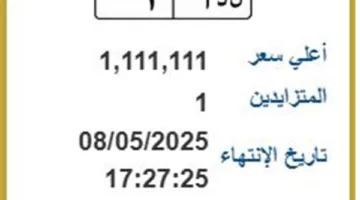 ن د أ 1.. طرح مزاد على لوحة مرور مميزة بسعر 1،1 مليون جنيه