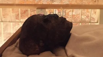 ننشر أهم توصيات لجنة زاهي حواس عن نقل مومياء توت عنخ آمون من الأقصر للمتحف المصرى الكبير