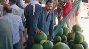 هيوصل لـ 20 جنيهًا بعد شهر.. نقيب الفلاحين يوجه نصائح للمواطنين عقب ارتفاع أسعار البطيخ | بث مباشر