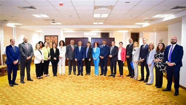 وزير الخارجية: ندين الغارة الإسرائيلية على المنطقة المجاورة للقصر الرئاسي بدمشق