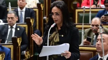 وزيرة التضامن تشارك في اجتماع برلماني بمناقشة مشروعي موازنة وخطة التنمية لبنك ناصر