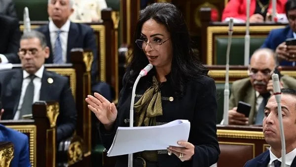 وزيرة التضامن تشارك في اجتماع برلماني بمناقشة مشروعي موازنة وخطة التنمية لبنك ناصر وزيرة التضامن تشارك في اجتماع برلماني بمناقشة مشروعي موازنة وخطة التنمية لبنك ناصر