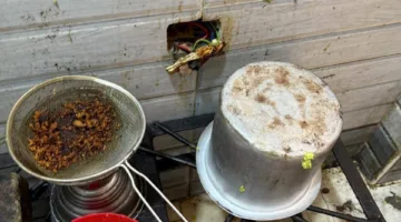 وكيل صحة السويس: إعدام 650 كيلو أغذية منتهية وغلق 11 منشأة تمثل خطرًا على الصحة العامة