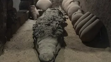 يعرض أطول تمساح بطول 4.30 مترًا.. متحف التمساح يروج للمومياوات الأثرية الموجودة في قاعات العرض